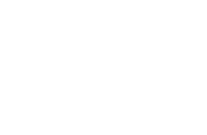 Tribeca Festival 2025 Selection